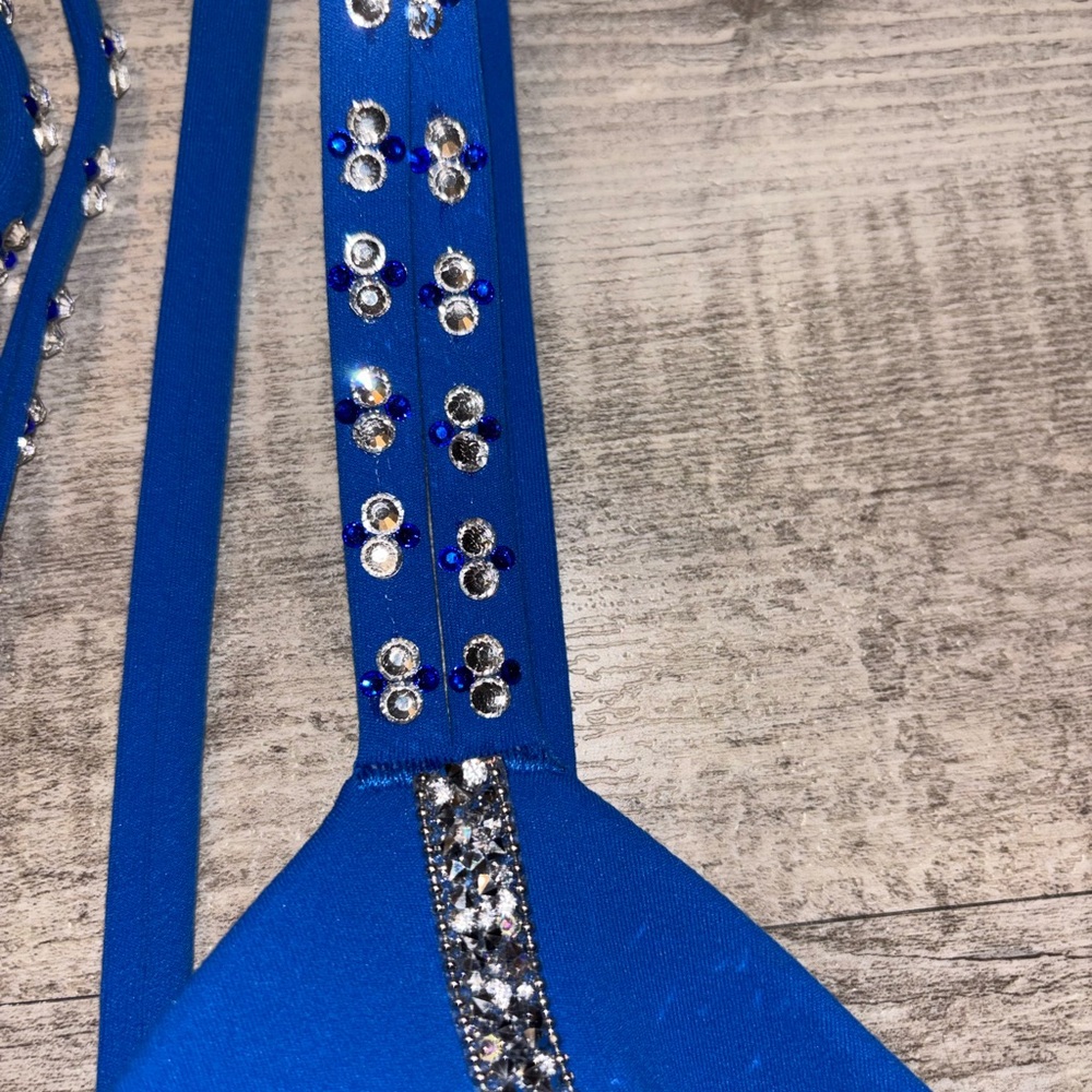 Custom Pro Dance/Cheer Audition Wear - Picture 6 of 7